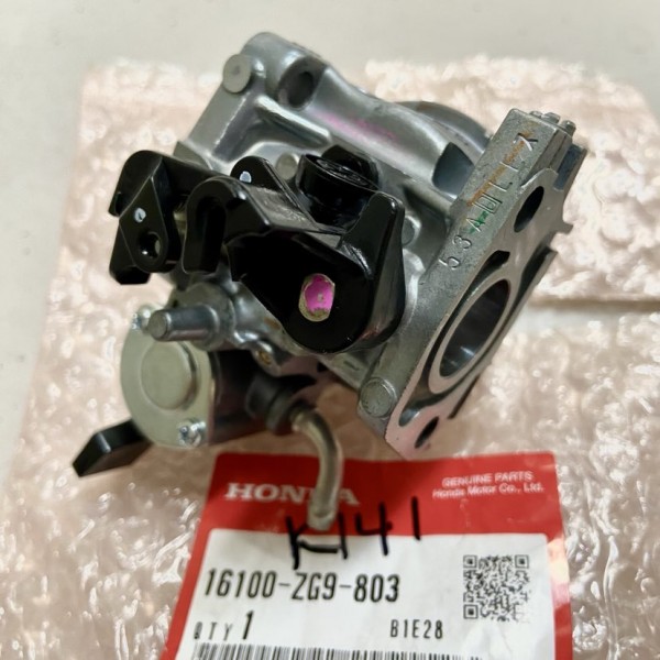 Honda OEM 16100-ZG9-803 Carburetor